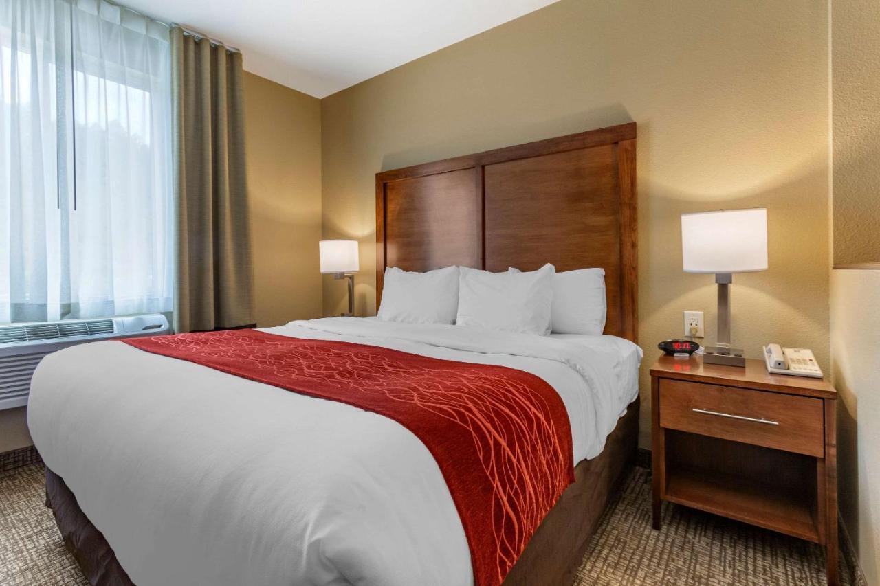 Comfort Inn & Suites Near Mt Rushmore Хил Сити Екстериор снимка