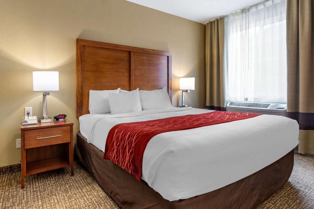 Comfort Inn & Suites Near Mt Rushmore Хил Сити Екстериор снимка